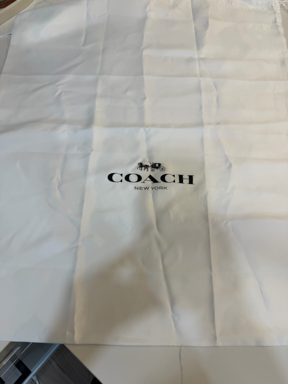 Coach White Drawstring Logo Dust Bag - Picture 2 of 4